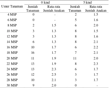 Tabel 11. Jumlah Tanaman yang Memiliki Anakan dan Rata-rata Jumlah Anakan Purwoceng Generasi M2 di Lokasi Cicurug 