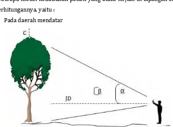 Gambar 19. Pengukuran tinggi pohon pada daerah mendatar 