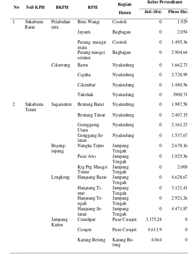 Tabel 3    Rincian kelas perusahaan hutan di KPH Sukabumi 