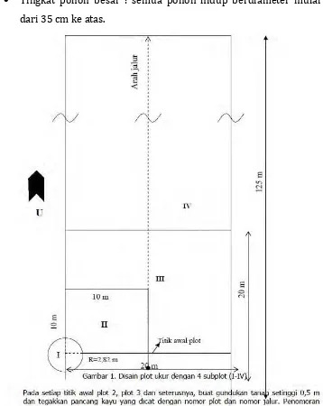 Gambar 2. Desain Plot Ukur dengan 4 subplot (I-IV) 