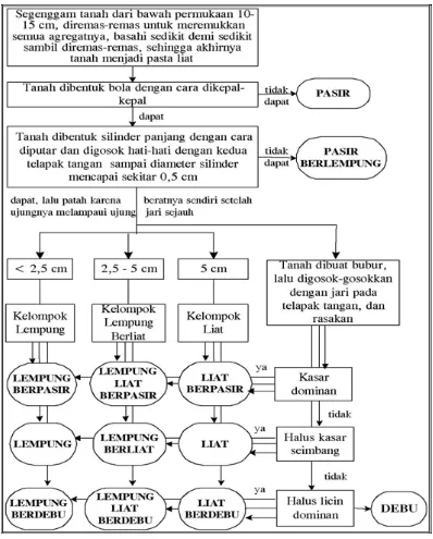 Gambar 4. Diagram alur penentuan kelas tekstur tanah berdasarkan 