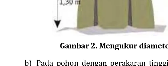 Gambar 2. Mengukur diameter pohon tidak normal 