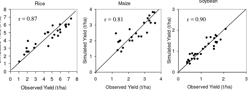 Figure 4.  Comparison between simulated yields from DSSAT and observed yields for rice, maize and soybean 
