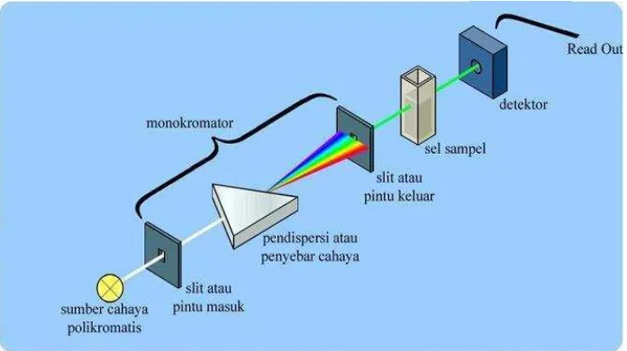 Gambar 1. mekanisme cara kerja spectrophotometer (https://wanibesak.wordpress.com/tag/prinsip-kerja-spektrofotometer) 