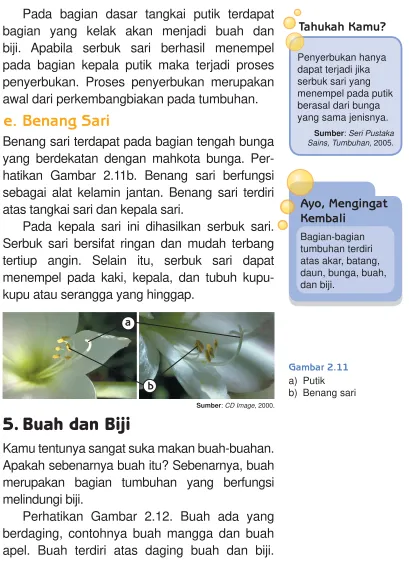 Gambar 2.11a)  Putik