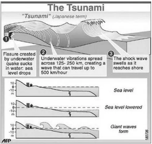 Gambar 3. Proses Terjadinya Tsunami 