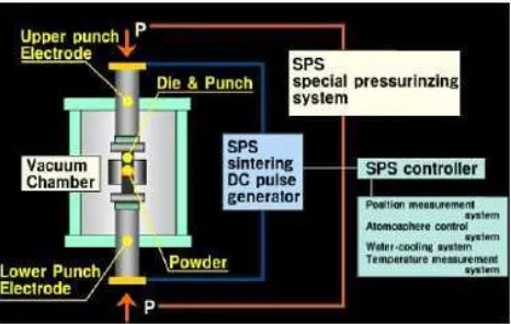 Gambar 17  Susunan dasar sistem SPS (Peng H, 2004)  