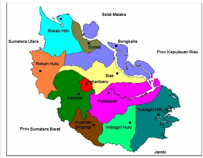 Gambar 14  Peta Provinsi Riau menurut Kabupaten/Kota Tahun 2008 