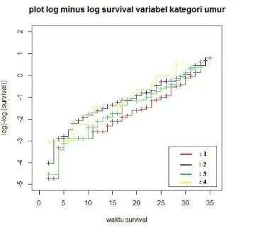 Gambar 3. 1 Plot log minus log survival untuk variabel umur 