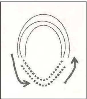 Gambar  6. Besi magnet berbentuk tapak kuda  