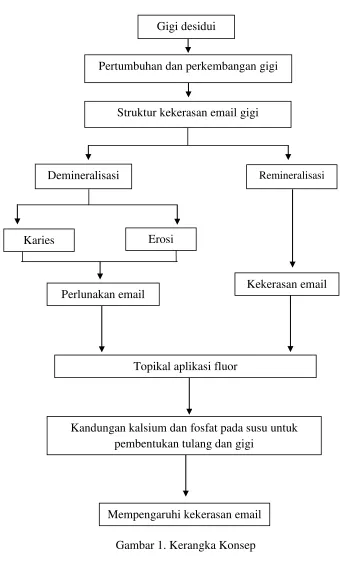 Gambar 1. Kerangka Konsep 