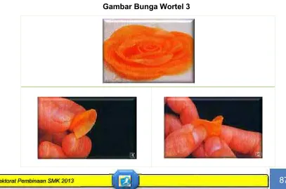 Gambar Bunga Wortel 3