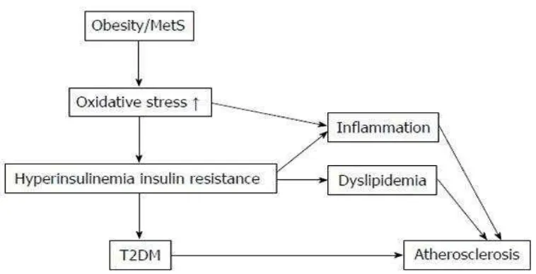 Gambar β.γ Obesitas dan sindrom metabolik meningkatkan stres oksidatif  (Tangvarasittichai, β015) 
