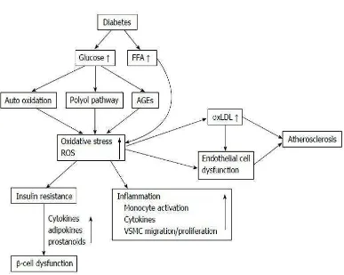 Gambar β.4 Peran ROS terhadap aterosclerosis dan sumber produksi ROS pada diabetes mellitus tipe β (Tangvarasittichai, β015)