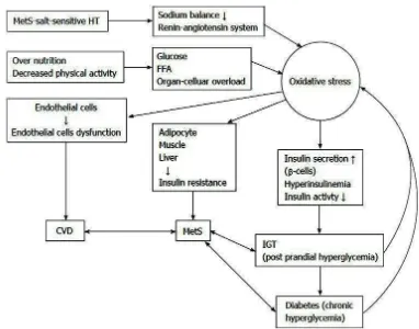 Gambar β.5 Peningkatan ROS pada obesitas, sindrom metabolik dan hipertensi  (Tangvarasittichai, β015)