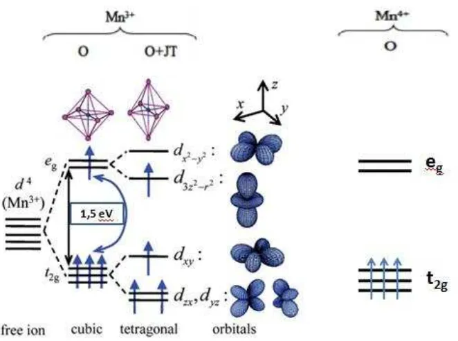 Gambar 2.23.   Struktur elektronik dari Mn3+ dan Mn4+ sebelum dan 