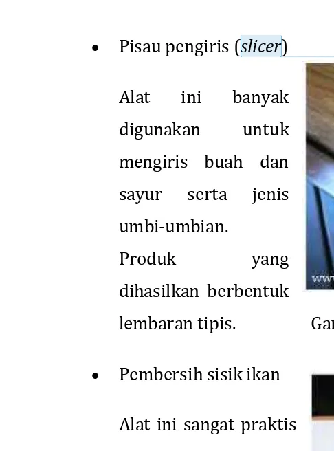 Gambar 5. Contoh pisau pengiris. 