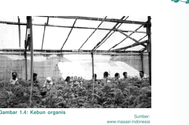 Gambar 1.4: Kebun organis