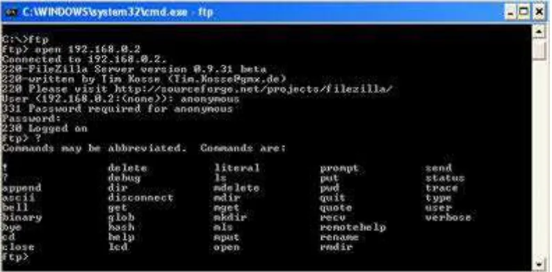 Gambar 1.5 Command DOS pada MS Windows sebagai antar muka pengguna FTP 