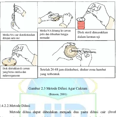 Gambar 2.3 Metode Difusi Agar Cakram 