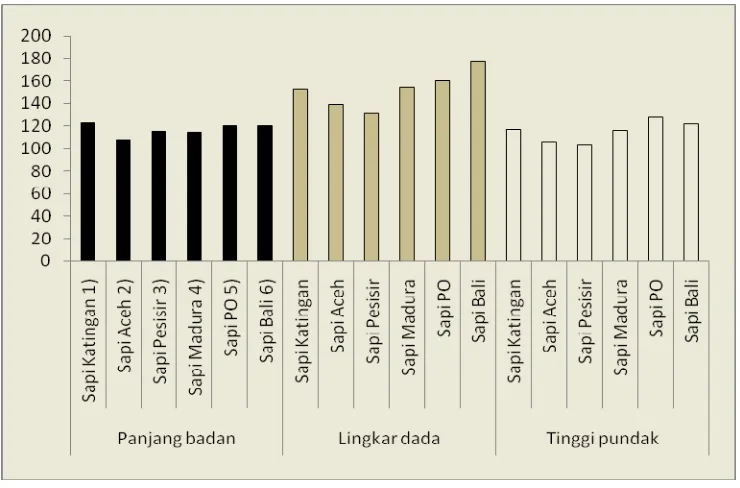 Tabel 4.  Rataan, simpangan baku dan koefisien keragaman parameter kepala sapi Katingan dewasa berdasarkan lokasi dan jenis kelamin 