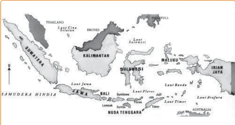 Gambar 3.1 Peta Indonesia
