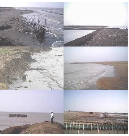 Figure 4. Coastal erosion and fish pond in Indramayu District impact SLR