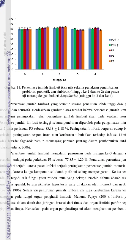 Gambar 11. Persentase jumlah limfosit ikan nila selama perlakuan penambahan                                 