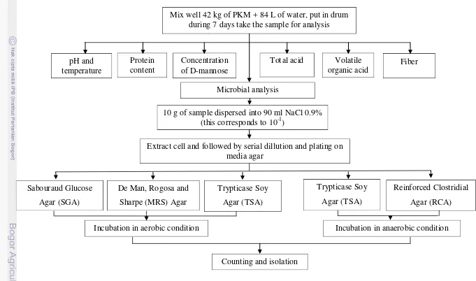 Figure 10. Schema of the research