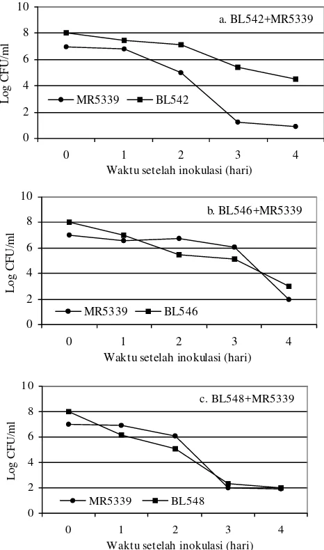Gambar 2. Populasi bakteri V. harveyi MR5339 dalam air pemeliharaansecara in vitro larva udang windu PL7.