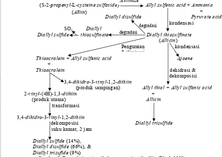 Gambar 3. Degradasi enzimatik dan non-enzimatik alliin (Block 1992)