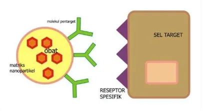 Gambar 3. Ilustrasi Konsep Sistem Penghantaran Obat Auto-Nanoemulsifikasi (Self-Nanoemulsifying Drug Delivery System (SNEDDS)