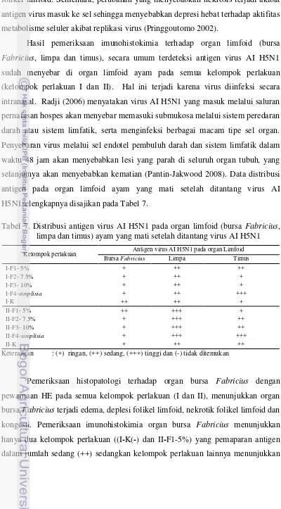 Tabel 7. Distribusi antigen virus AI H5N1 pada organ limfoid (bursa Fabricius, 
