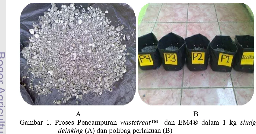Gambar 1. Proses Pencampuran wastetreat™  dan EM4® dalam 1 kg sludge 