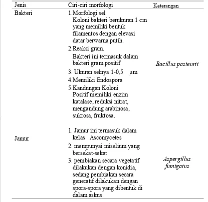 Tabel 5. Hasil Identifikasi Karakteristik Mikrob 