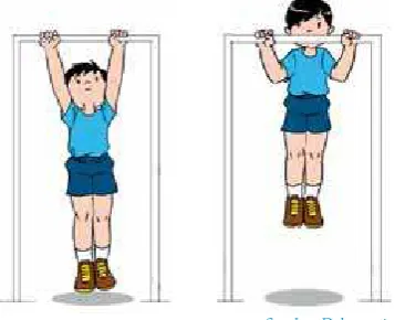 Gambar 2.3 Gerakan push up
