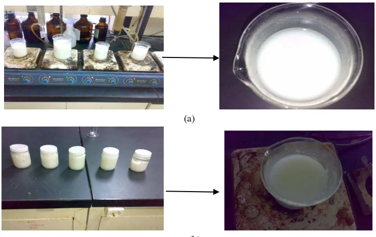 Gambar 10. (a) Penampakan Visual Formula Edible Coating saat Pembuatan  (b) Penampakan Visual Formula Edible Coating saat Penyimpanan