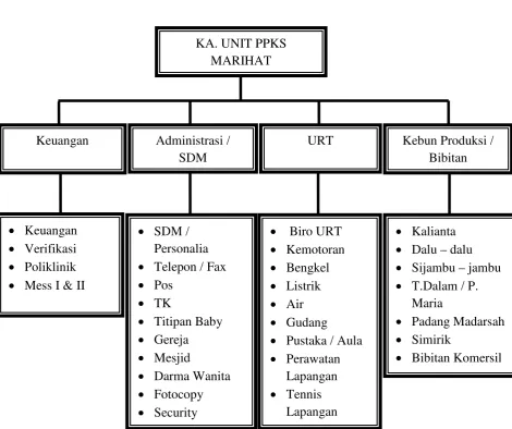 Gambar 2.3.2 Struktur Organisasi Pusat Penelitian Kelapa Sawit (PPKS) Unit Mariha 