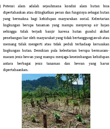 Gambar 5. Penebangan Hutan oleh Manusia 