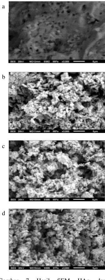 Gambar 6 Hasil SEM sampel pada perbesaran 