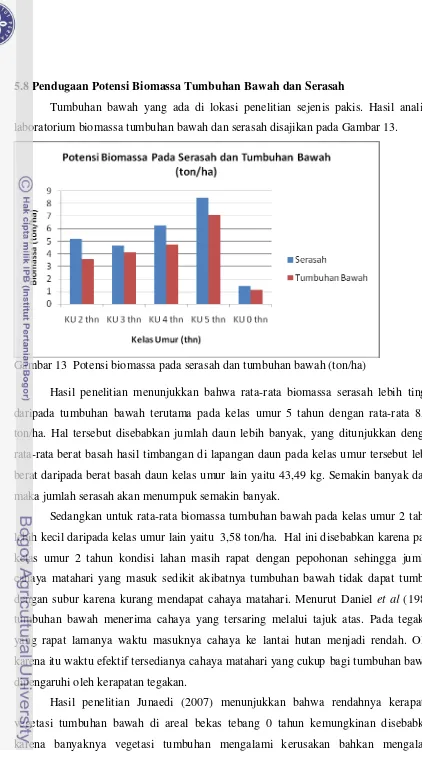 Gambar 13  Potensi biomassa pada serasah dan tumbuhan bawah (ton/ha) 