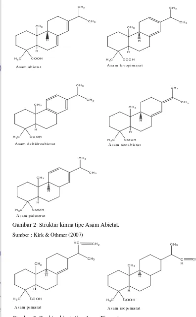 Gambar 3  Struktur kimia tipe Asam Pimarat. 