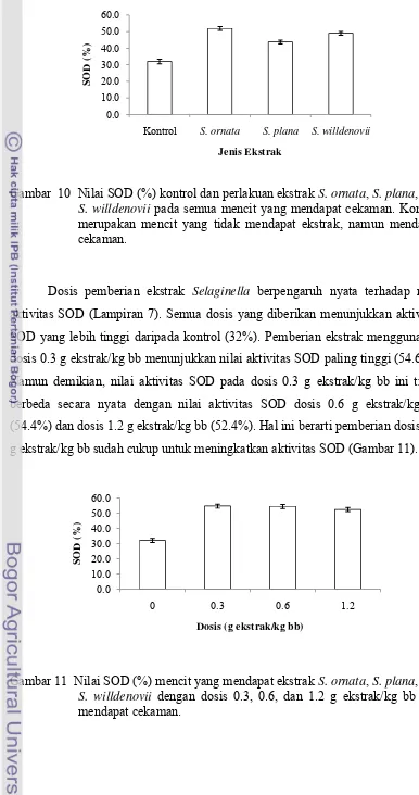 Gambar  10  Nilai SOD (%) kontrol dan perlakuan ekstrak S. ornata, S. plana, dan 