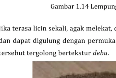 Gambar 1.15. Debu