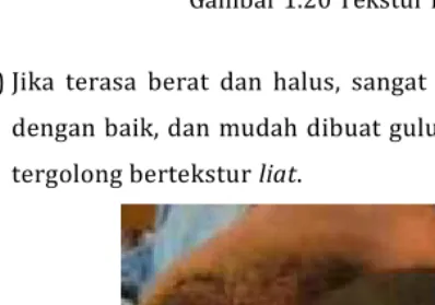 Gambar 1.20 Tekstur Liat Berdebu