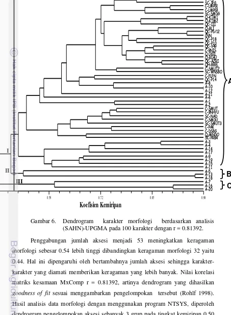Gambar 6.  Dendrogram  karakter morfologi  berdasarkan analisis 