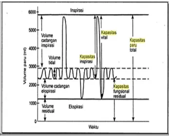 Gambar 2.4 Grafik Volume Udara Pernafasan (Sumber: Guyton and Hall, 2008) 