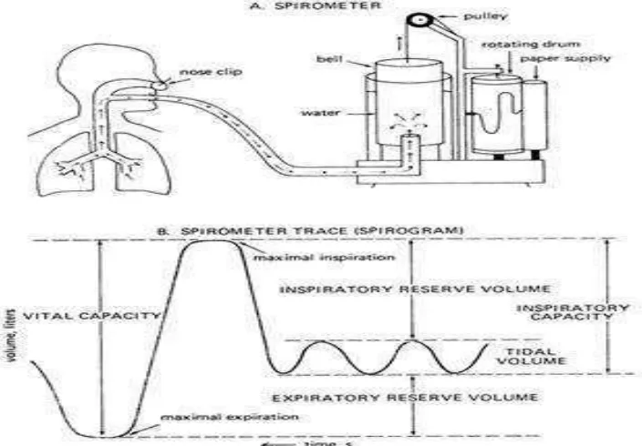 Gambar 2.7 Interpretasi Spirometri (Sumber: Benditt, 2008) 