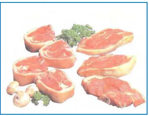 Gambar 2. 3 Penampang daging dibalut erabut elastin dan retikulin 