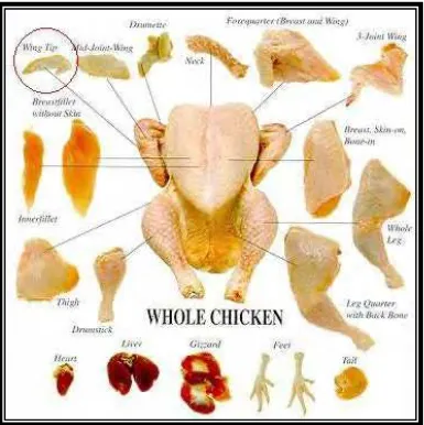 Gambar 2. 14 Potongan ayam whole chicken Sumber internet : http//agusramados. Multiply.com.jurnal hmtl172 
